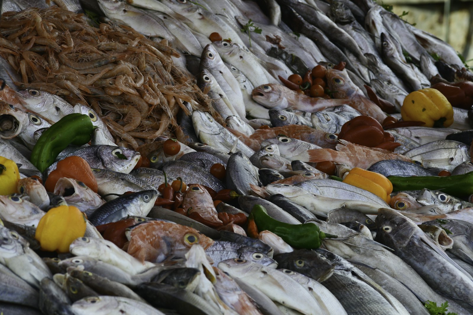 Frischer Fisch auf dem Morgenmarkt